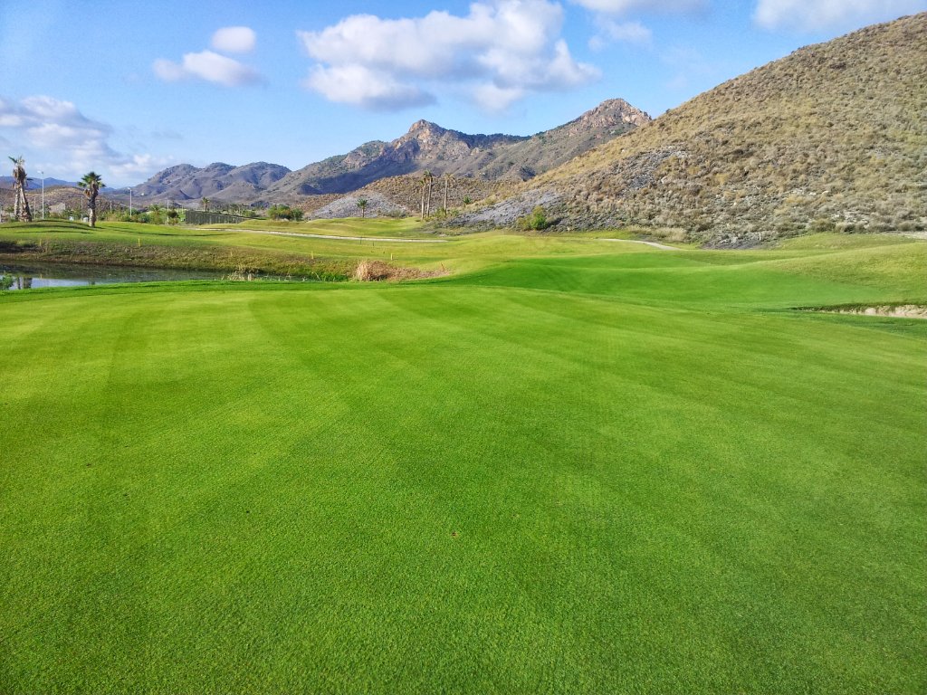 Fairway montañoso