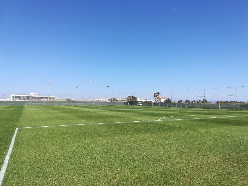 Campo de fútbol profesional