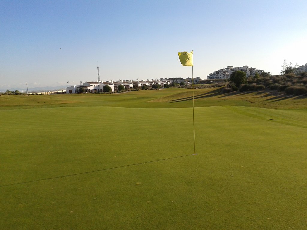 Green al atardecer