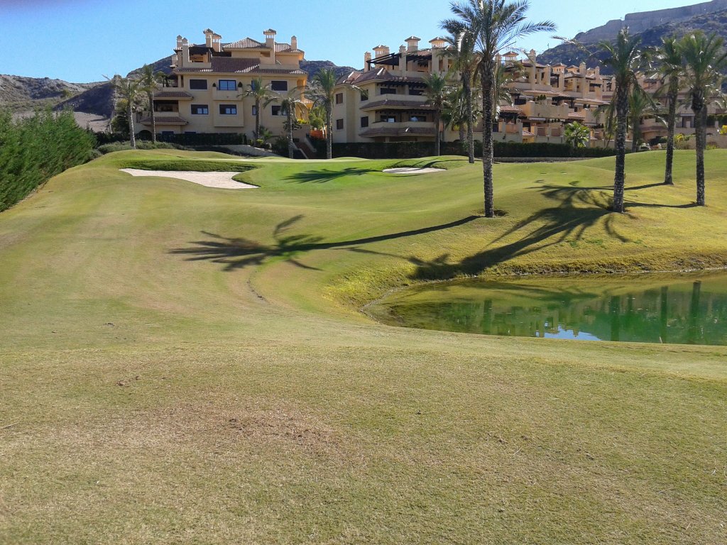 Golf resort con palmeras