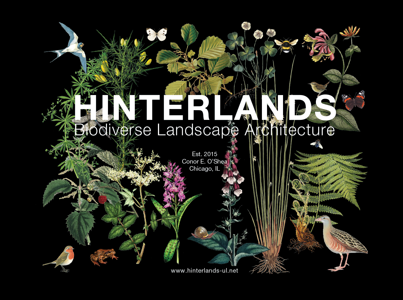 Hinterlands Biodiverse Landscape Architecture