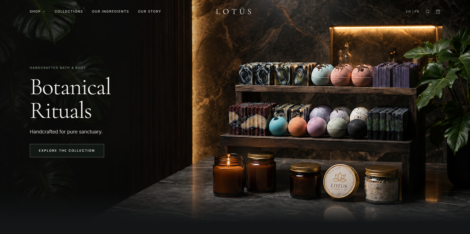 Website — desktop view