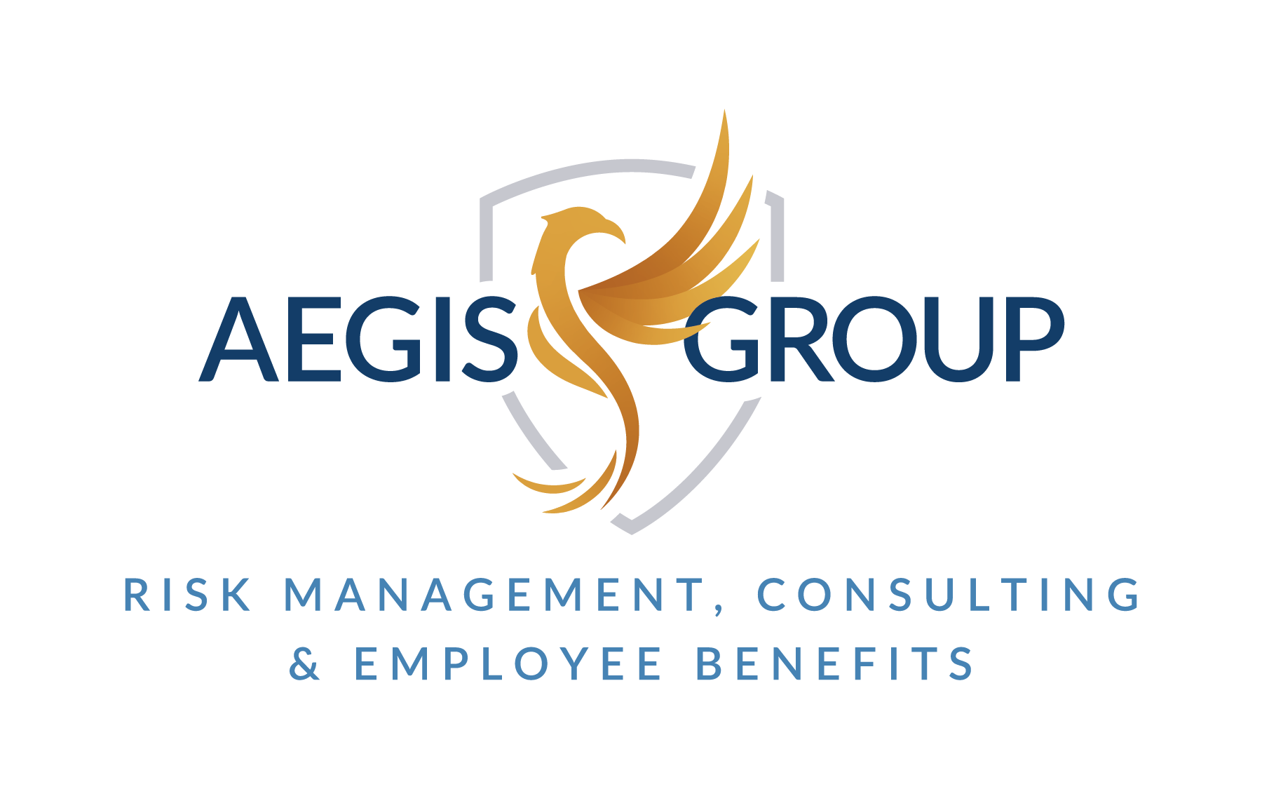 Aegis Group