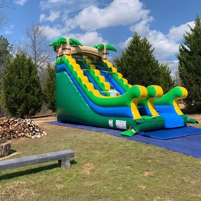 Palm Tree Slide