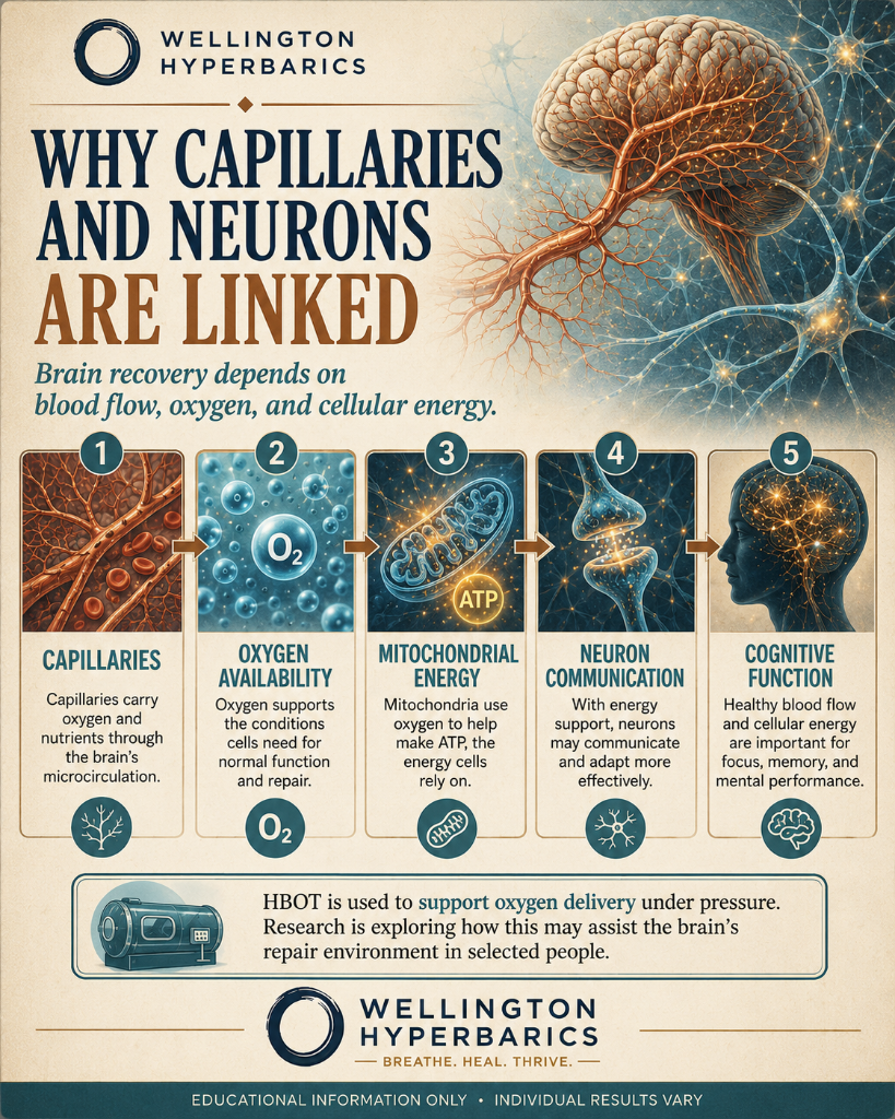Why capillaries and neurons are linked