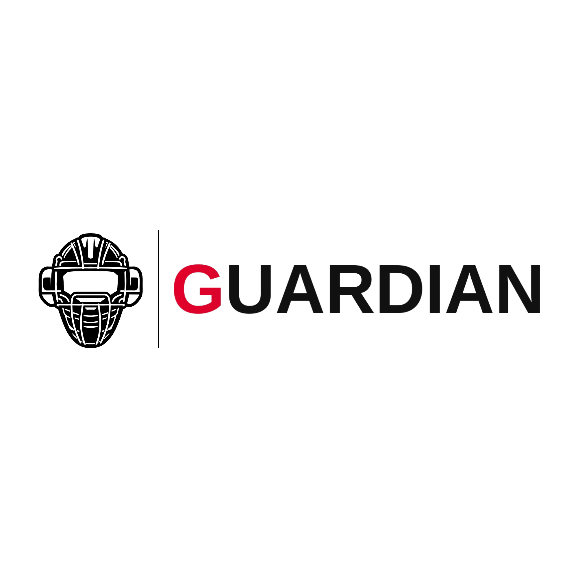 Guardian Catcher Program