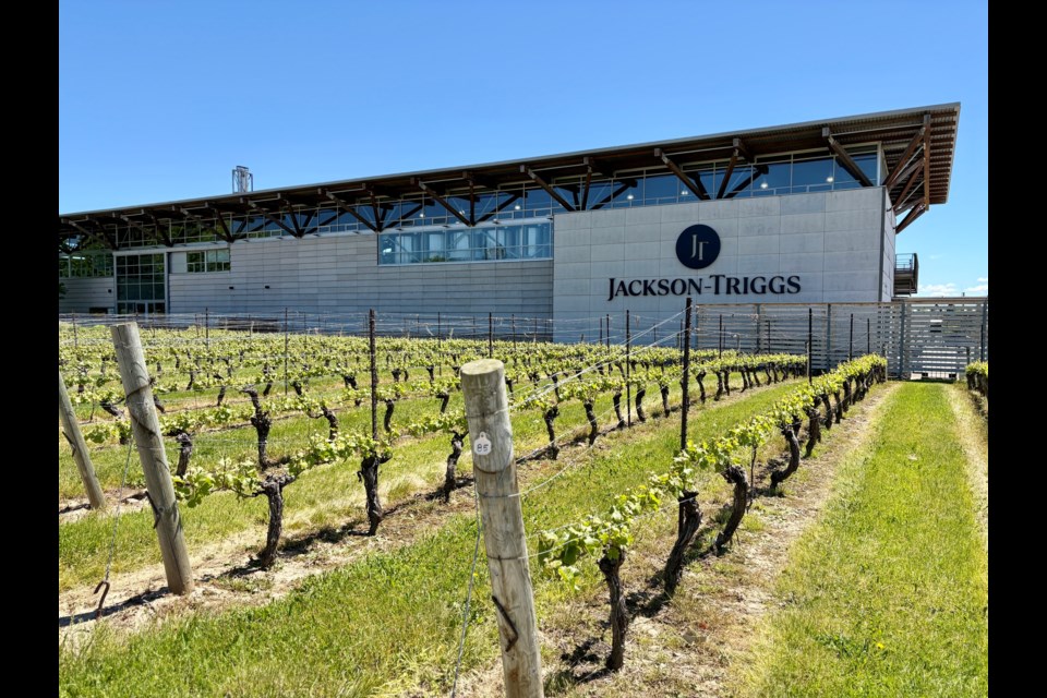 The Vineyard Amphitheatre