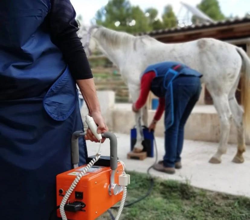 Estudiants de veterinària