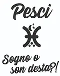 Stelle dello Zodiaco 17