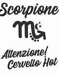 Stelle dello Zodiaco 22