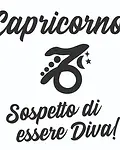 Stelle dello Zodiaco 13