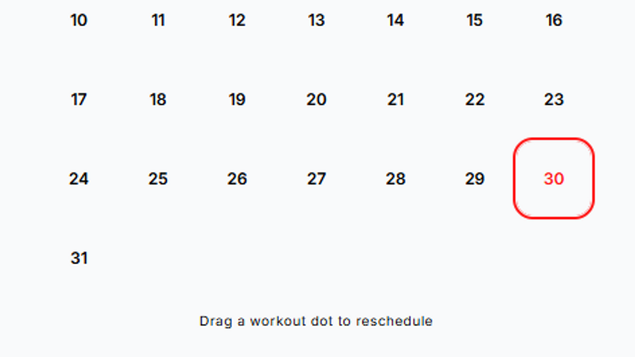 Workout Performance template preview