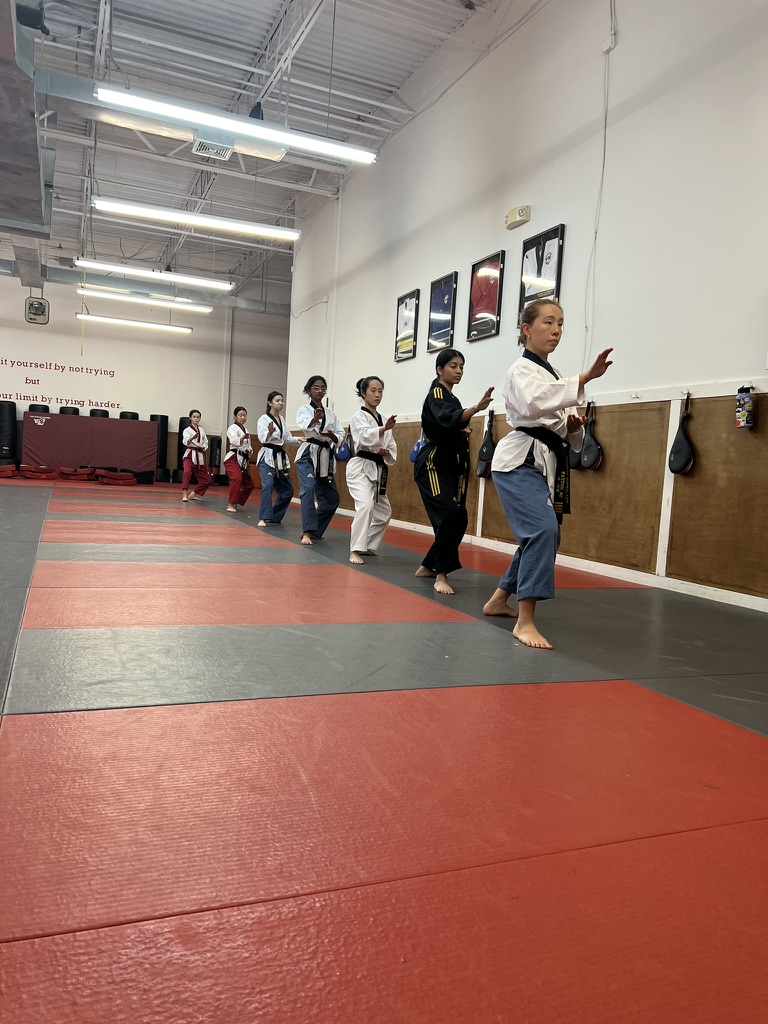 Poomse (Form) Training
