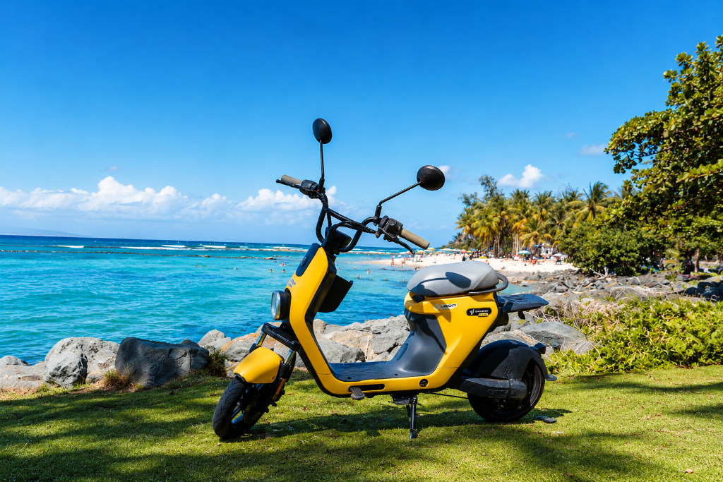 Premium Segway C80 Rentals