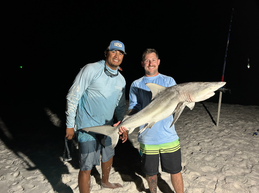 Land-based Sharks charter in Pensacola, FL — Full Day Shark