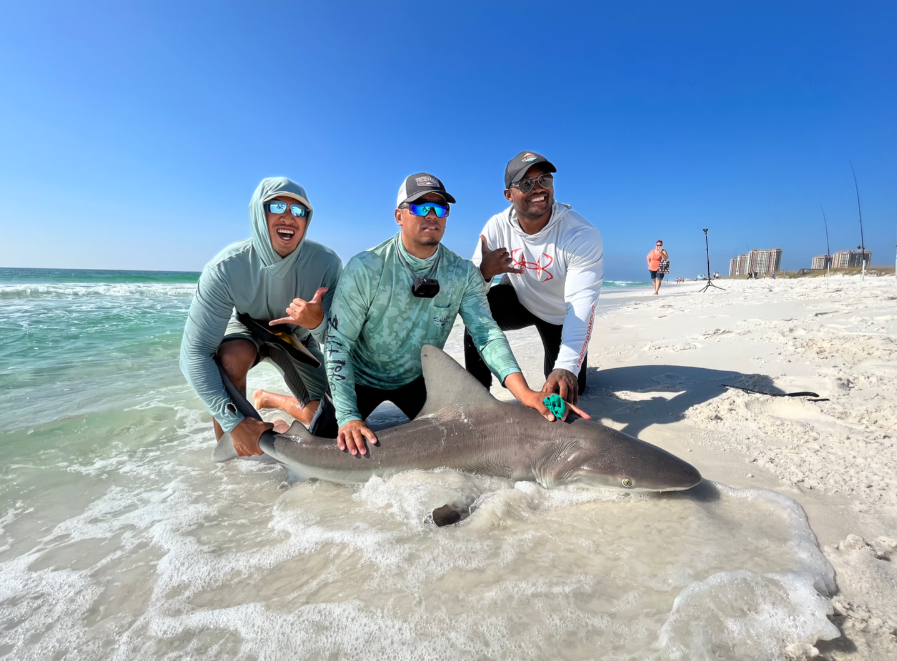 What to Expect on a Pensacola Shark Fishing Trip