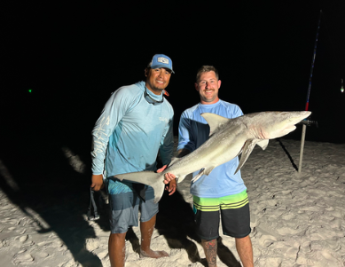 Shark caught on a 5-hour land-based Pensacola beach charter