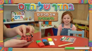  בחדר של הדס | יצירת מדהימות מפלסטלינה | חיפושית