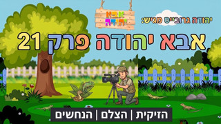 הזיקית | הצלם | הנחשים |  אבא יהודה  | תוכנית 21