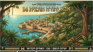 יערות הגשם | עכו | האחים הקדושים |  אבא יהודה  | תוכנית 14