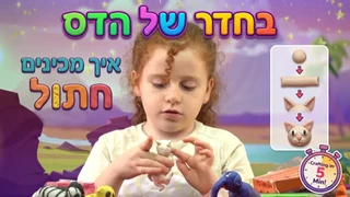 בחדר של הדס | יצירת מדהימות מפלסטלינה | חתול