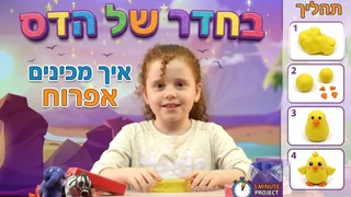  בחדר של הדס | יצירת מדהימות מפלסטלינה | אפרוח