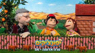 פרה אדומה | הפונציקים | פרק 54 |