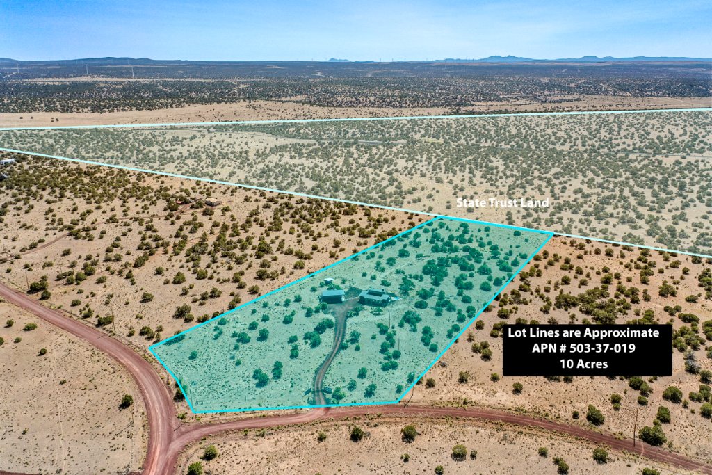 Aerial Survey