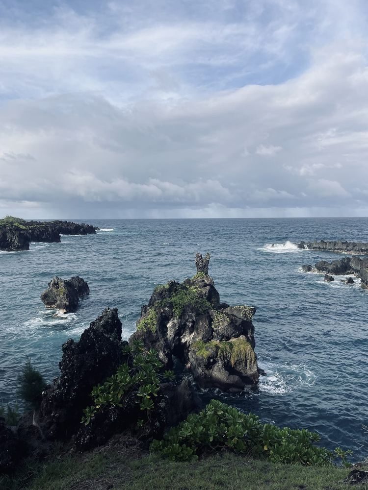 Rocky sea stacks along the coast