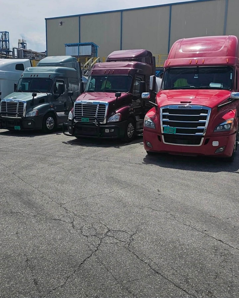 SGD Transport fleet lineup of Freightliner trucks