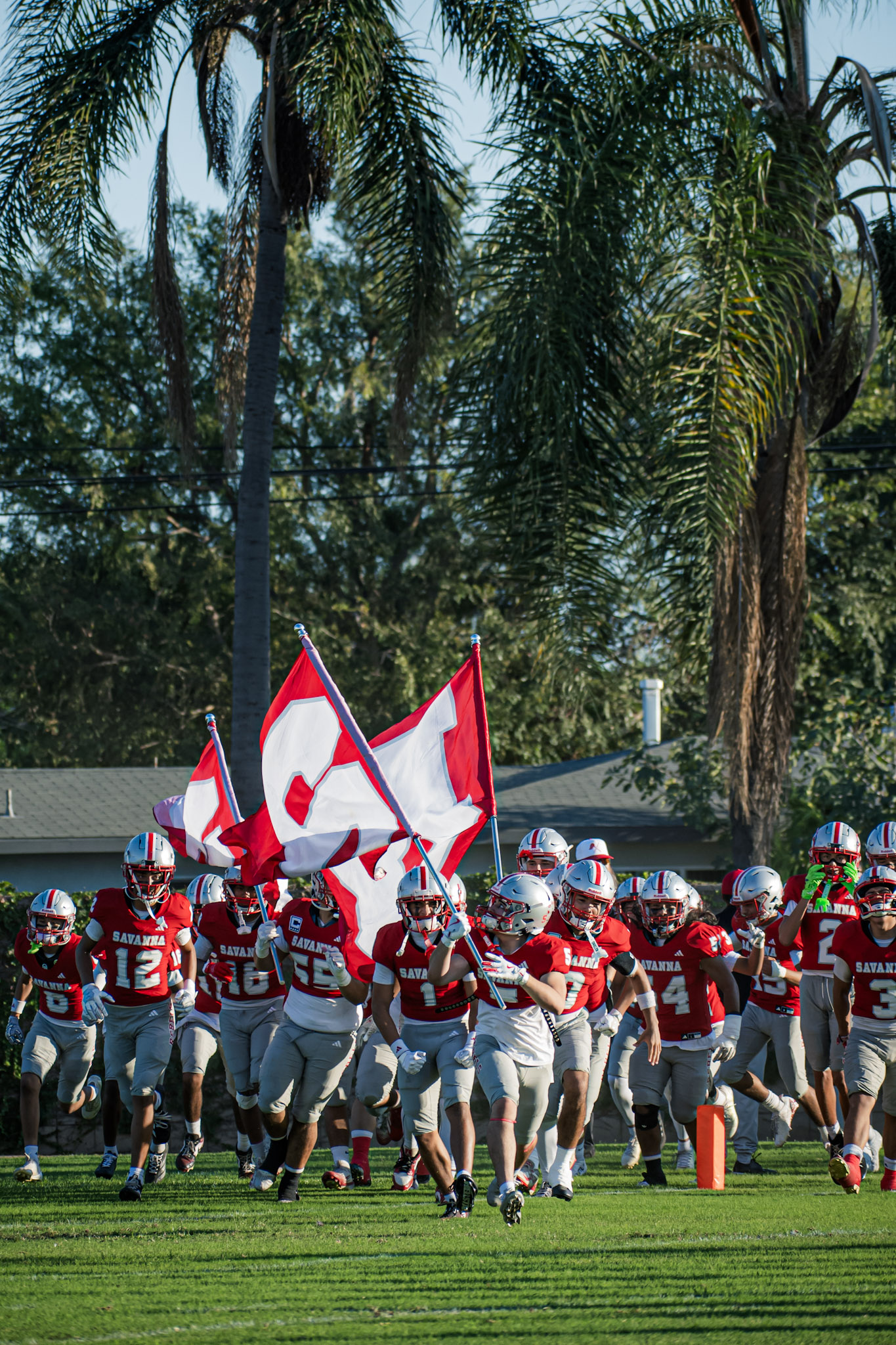 Savanna Rebels