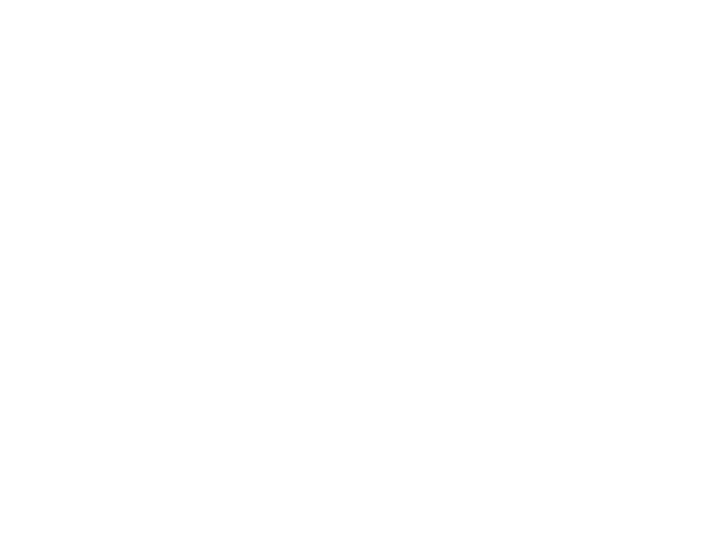 IDMG Agency