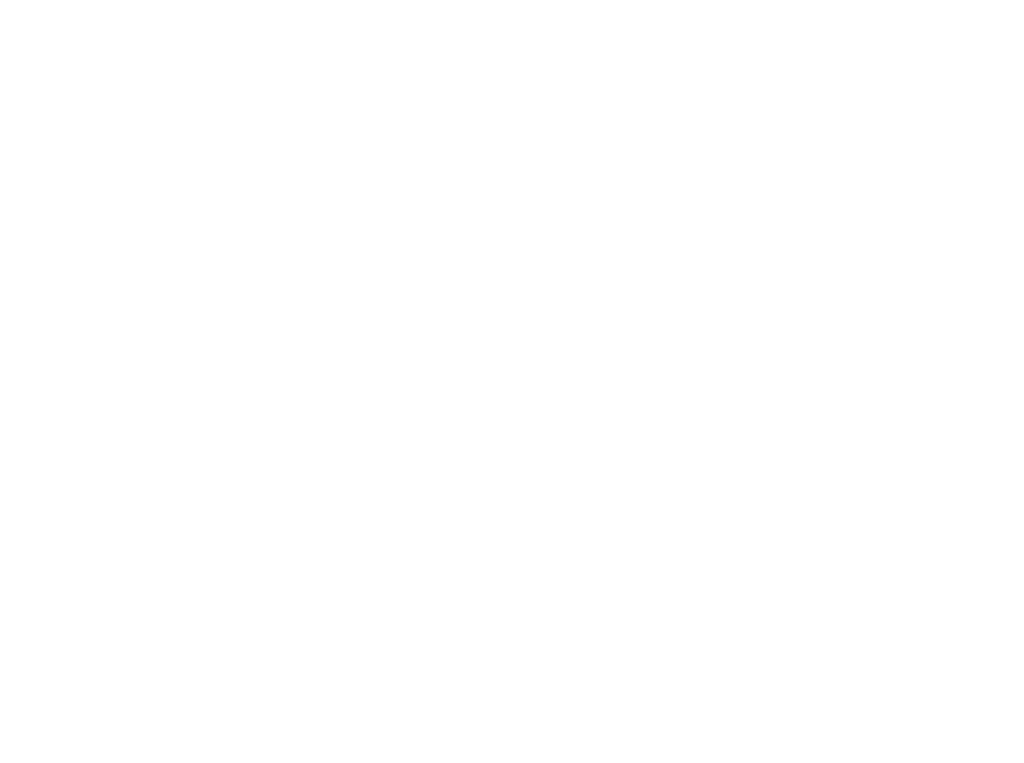 INIM Logo