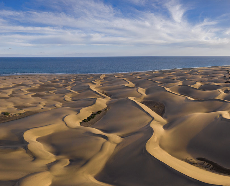 Maspalomas & Playa del Inglés