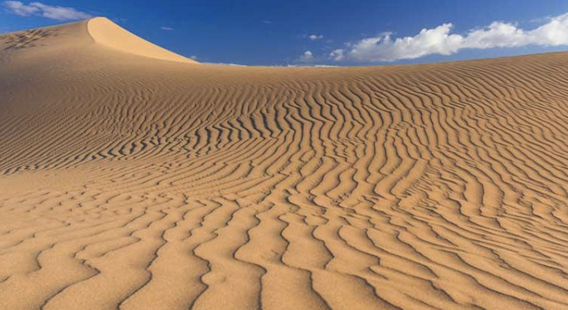 Maspalomas UNESCO Dunes