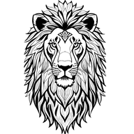 Elevation - Beyond logo