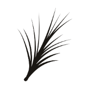 Rosemary Hair Oil Co.