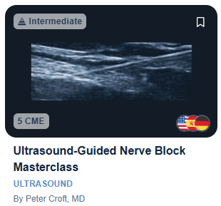 Ultrasound-Guided Nerve Block Masterclass