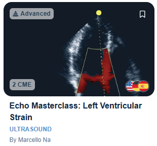 Echo Masterclass: Left Ventricular Strain