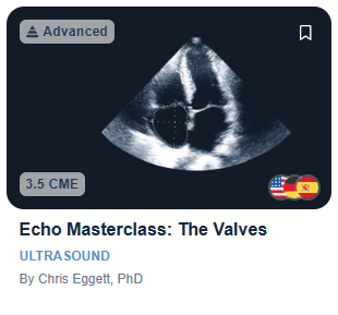 Echo Masterclass: The Valves