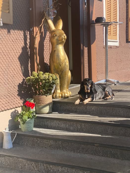 Hase Statue