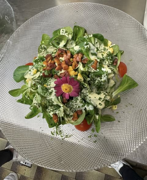 Gourmet Salat