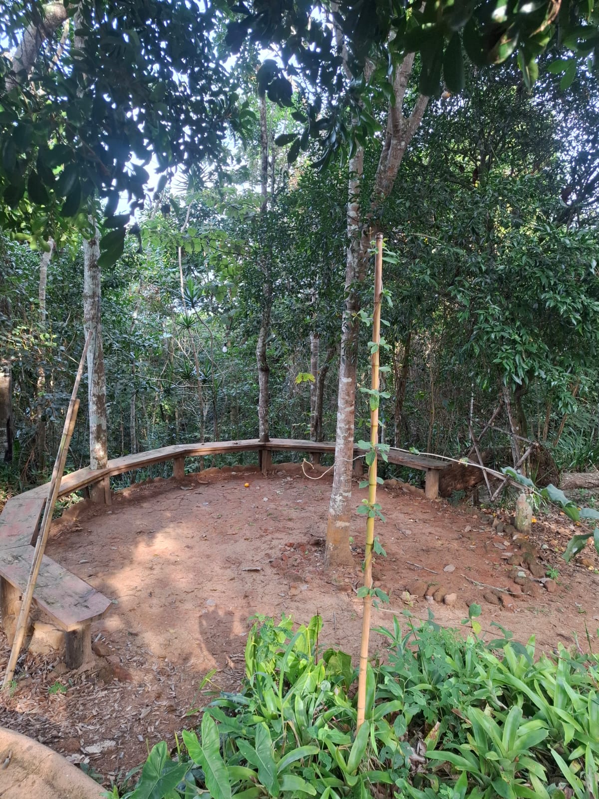 Roda na terra batida