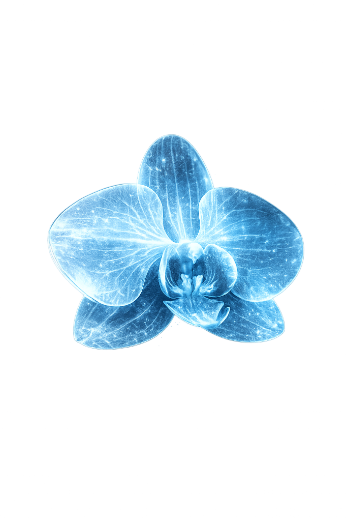 Blue orchid