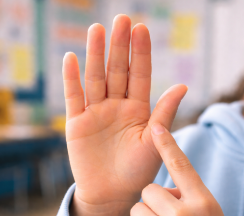 Attendance — Root Causes Section