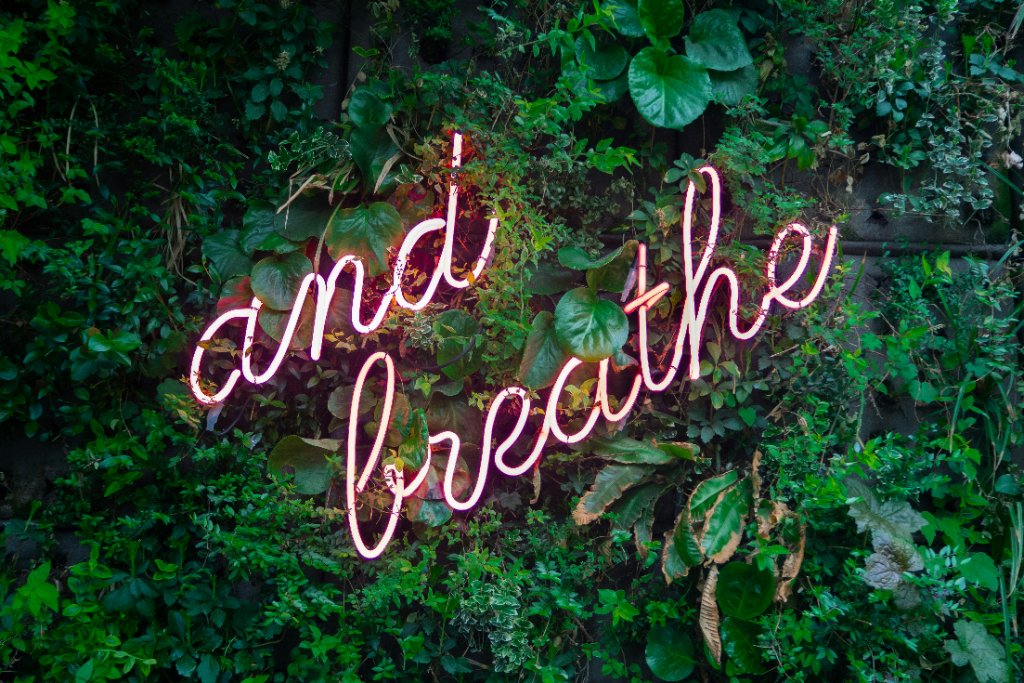 Mental Wellness — On-Site Coaching Card