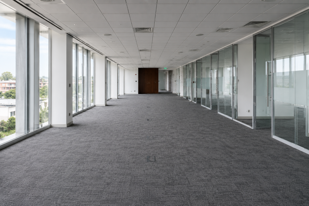 After - Office Carpet — Debris Cleared, Deep Cleaned & Restored