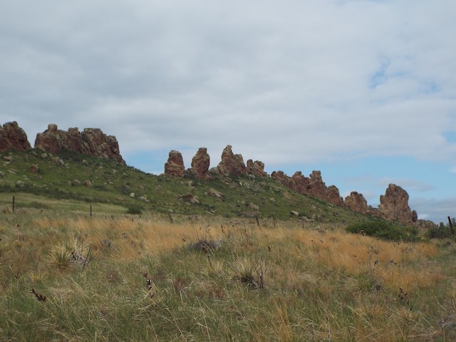 Ridgeline