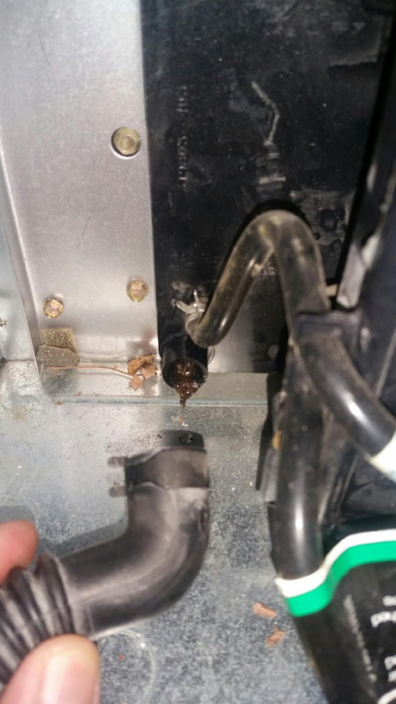Clogged Drain Port Clean-Out