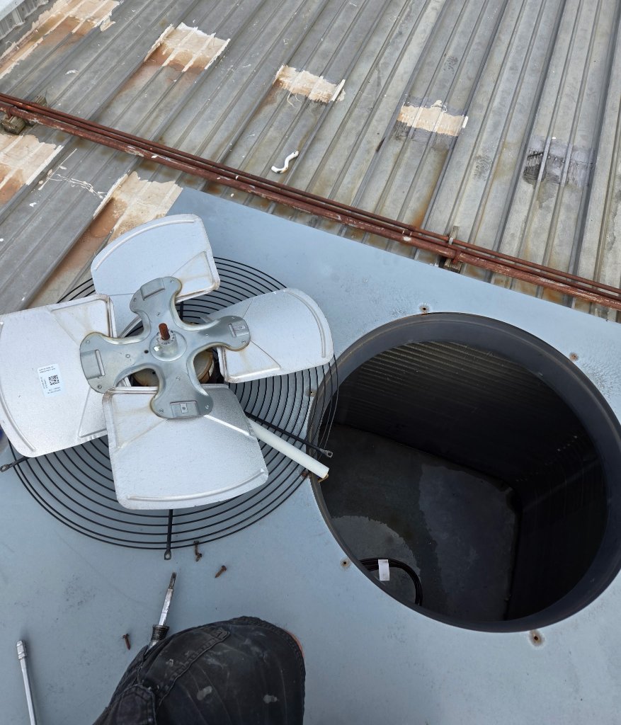 Condenser Fan & Motor Service